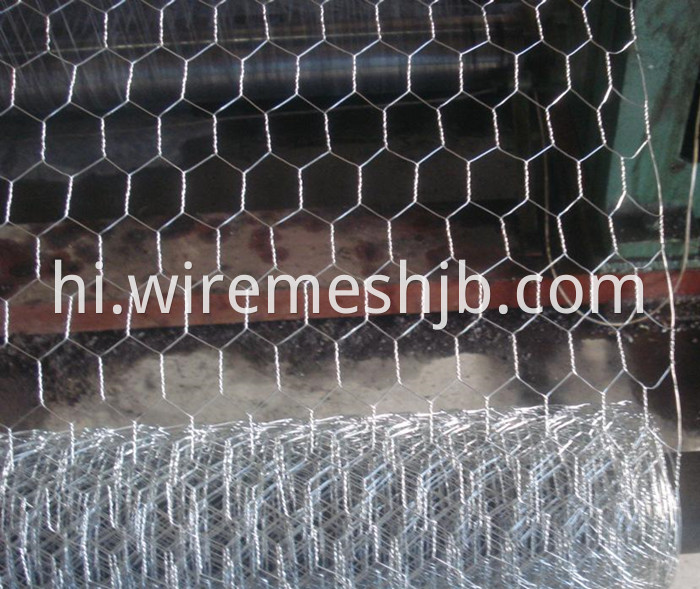 Galvanized Chicken Wire